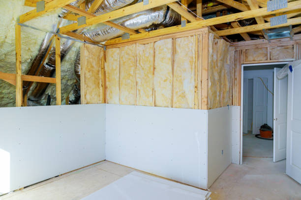 Best DIY Insulation Kits and Guidance in Walnut, IL