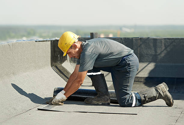 Best Eco-Friendly Insulation in Walnut, IL