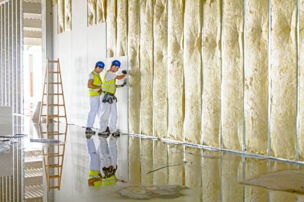 Best Spray Foam Insulation in Walnut, IL